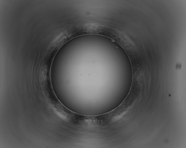 X0000089940744200707131453