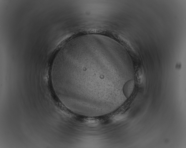 X0000089940746200707131453