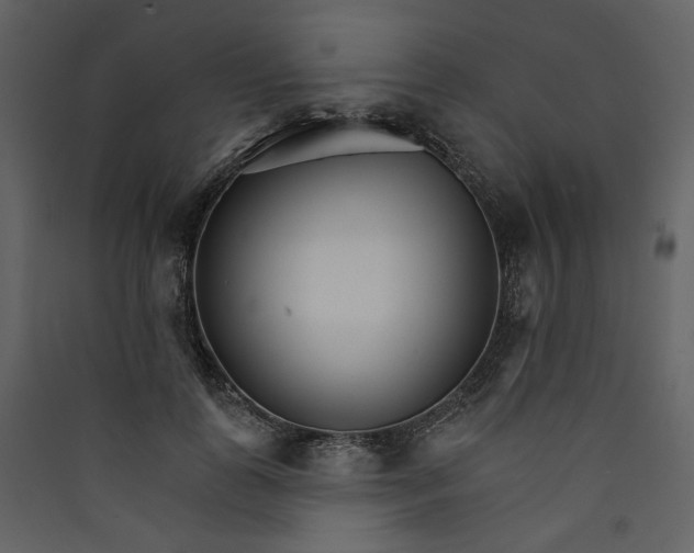 X0000089940747200707131453