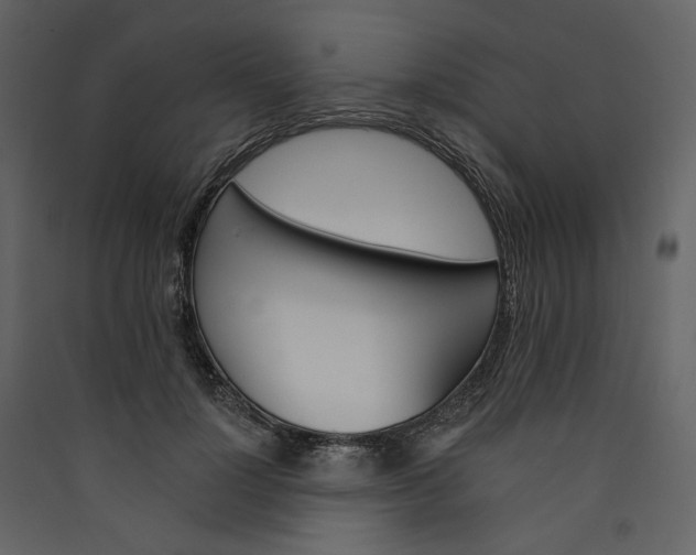 X0000089940748200707131453