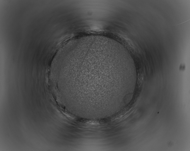 X0000089940749200707131453