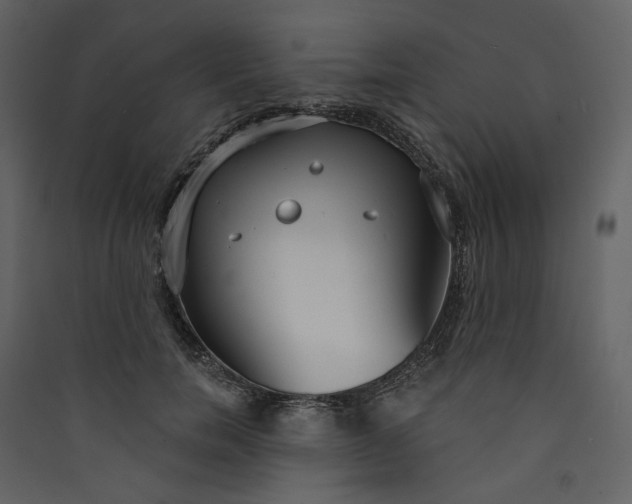 X0000089940750200707131453