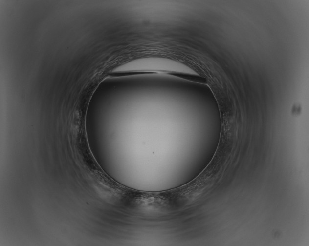 X0000089940752200707131453