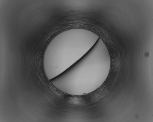 X0000089940755200707131453