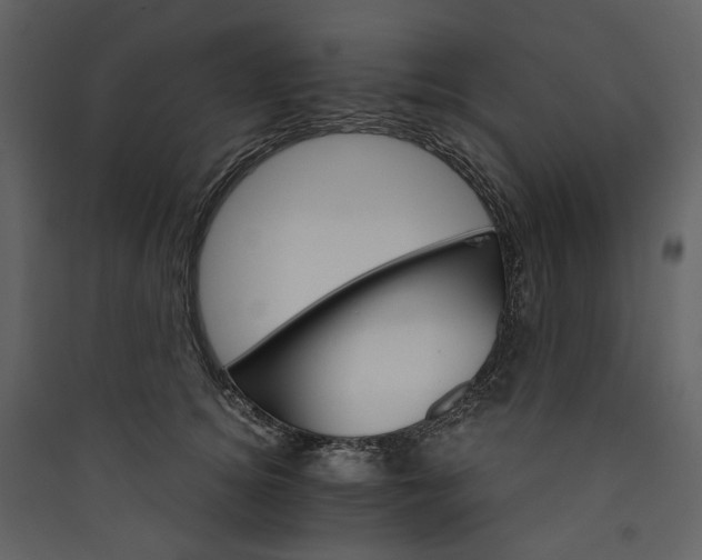 X0000089940756200707131453