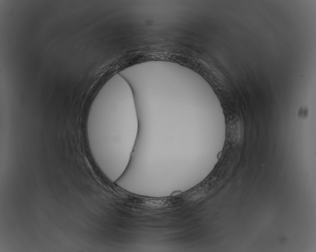 X0000089940757200707131453