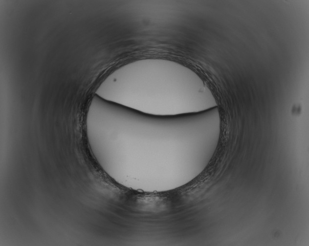 X0000089940759200707131453