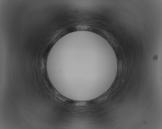 X0000089940761200707131453