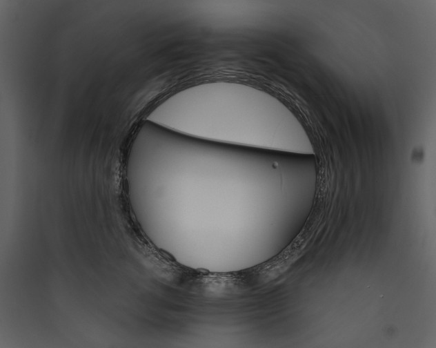 X0000089940762200707131453