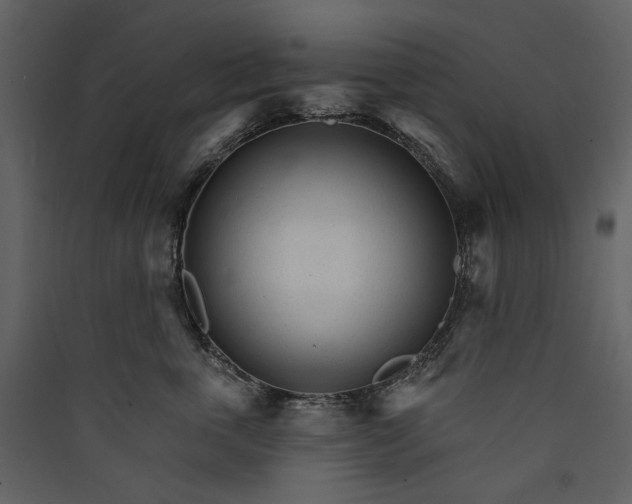 X0000089940763200707131453