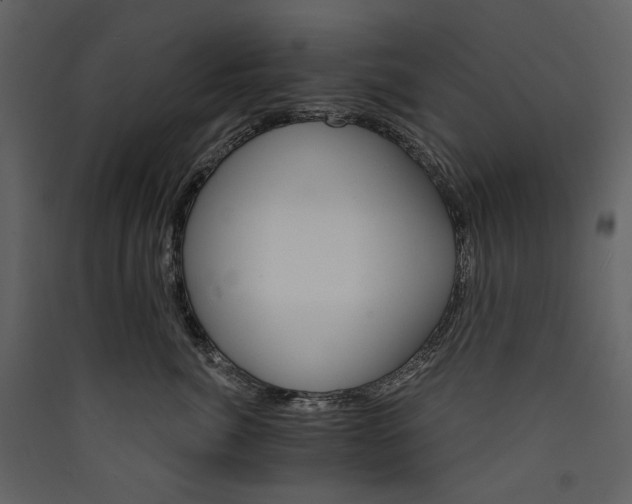 X0000089940764200707131453