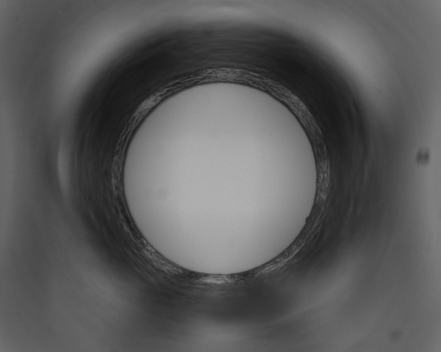 X0000089940765200707131453