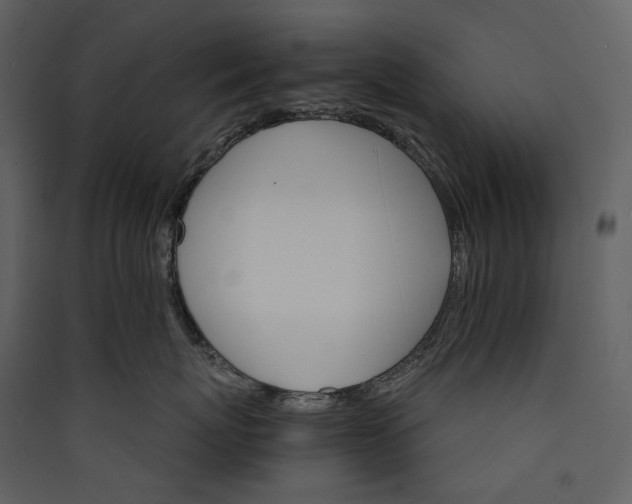 X0000089940767200707131453