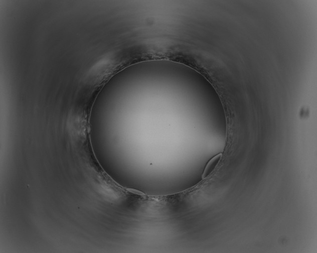 X0000089940768200707131453