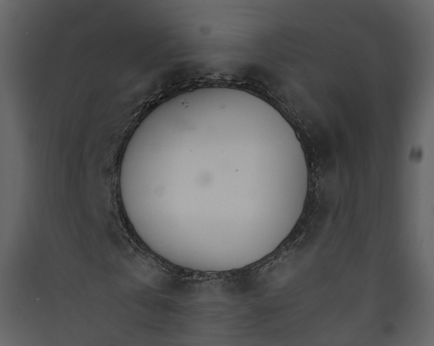 X0000089940769200707131452