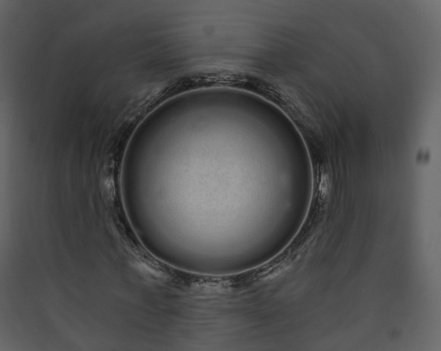 X0000089940771200707131452