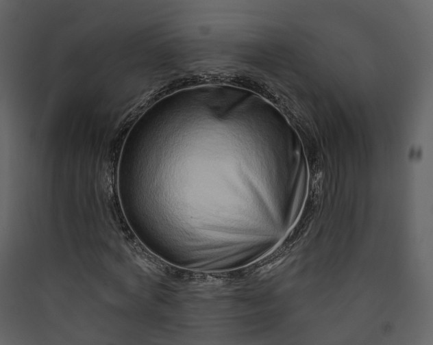 X0000089940772200707131452