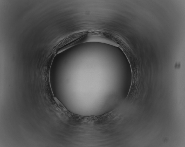 X0000089940773200707131452