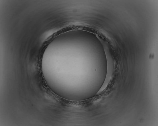 X0000089940775200707131452