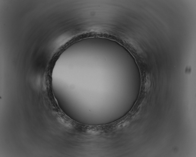 X0000089940776200707131452