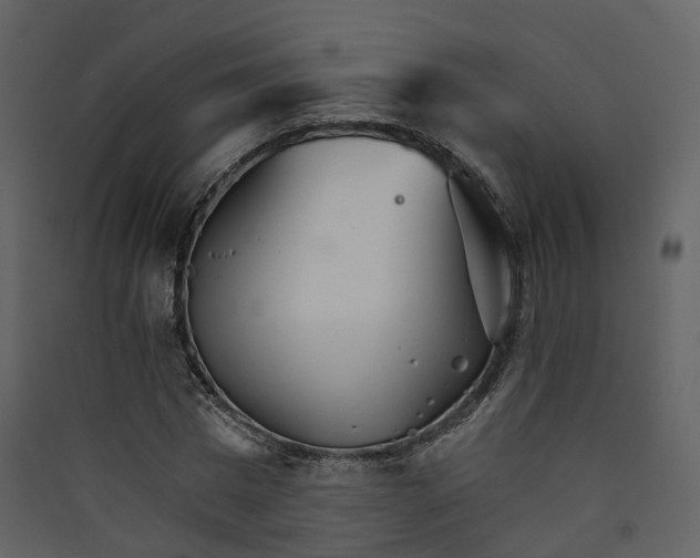 X0000089940777200707131452