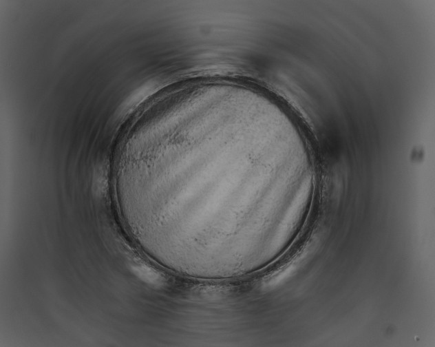 X0000089940778200707131452