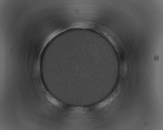 X0000089940779200707131452