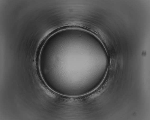 X0000089940780200707131452