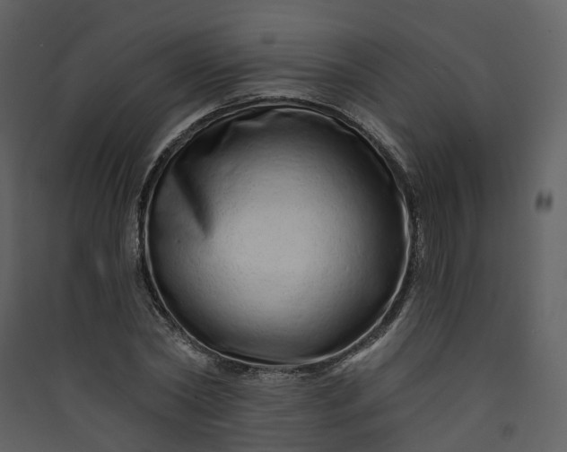 X0000089940782200707131452