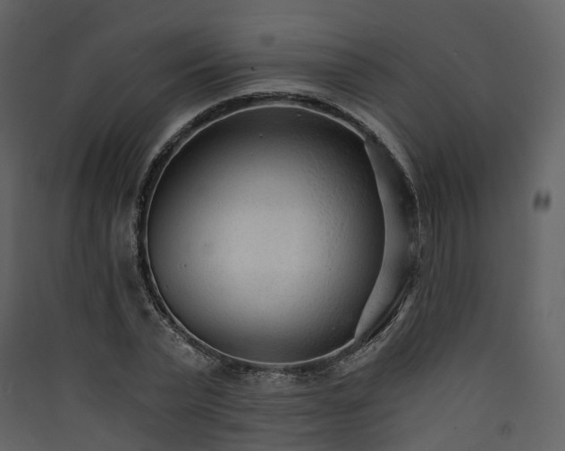 X0000089940783200707131452