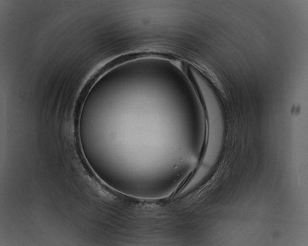 X0000089940784200707131452