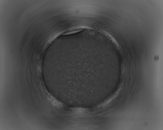 X0000089940785200707131452