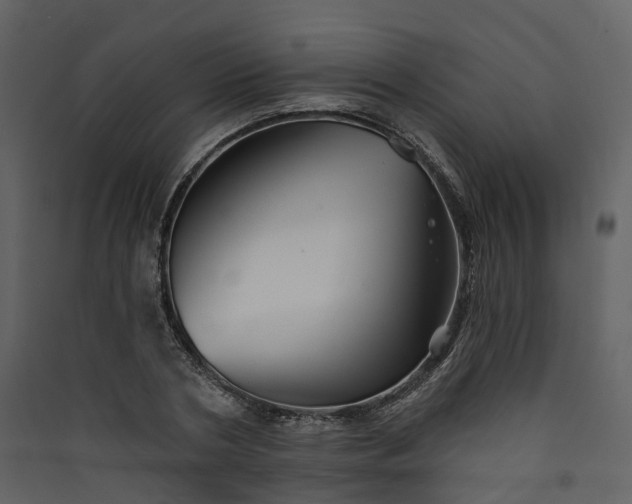 X0000089940786200707131452