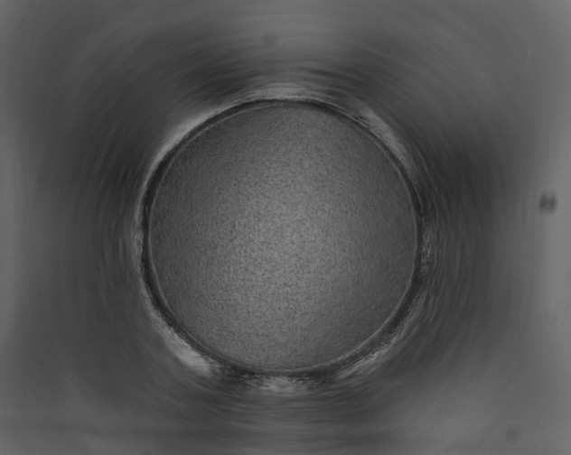 X0000089940787200707131452