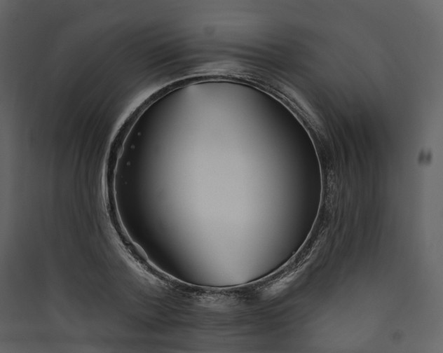 X0000089940788200707131452