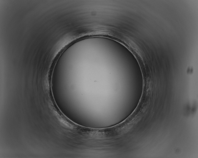 X0000089940789200707131452