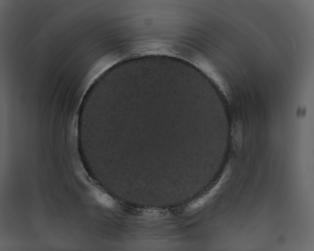 X0000089940790200707131452