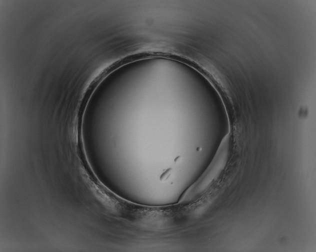 X0000089940791200707131452