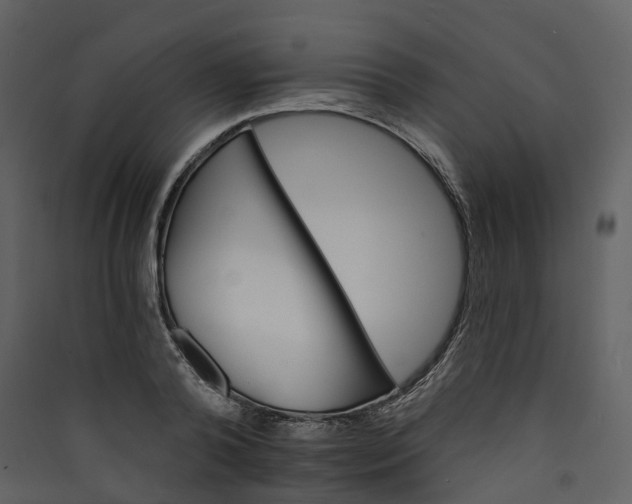 X0000089940792200707131452