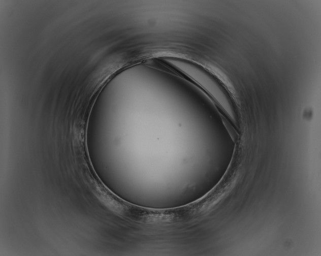 X0000089940793200707131452