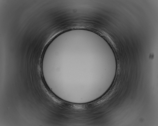 X0000089940794200707131452