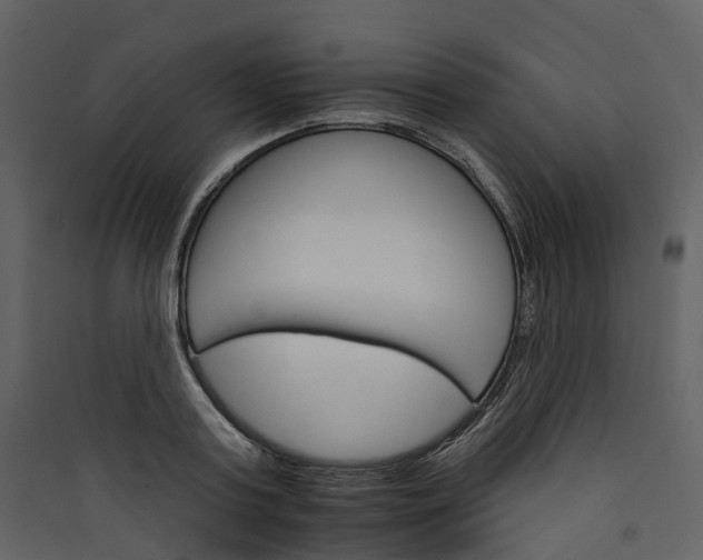 X0000089940795200707131452