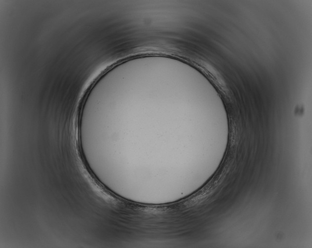 X0000089940796200707131452