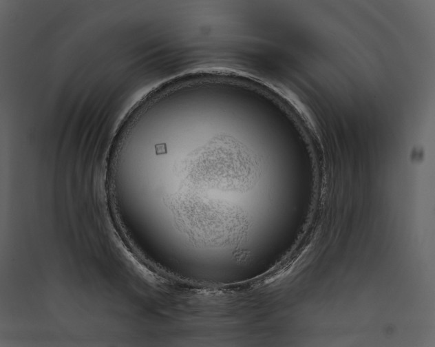 X0000089940799200707131452