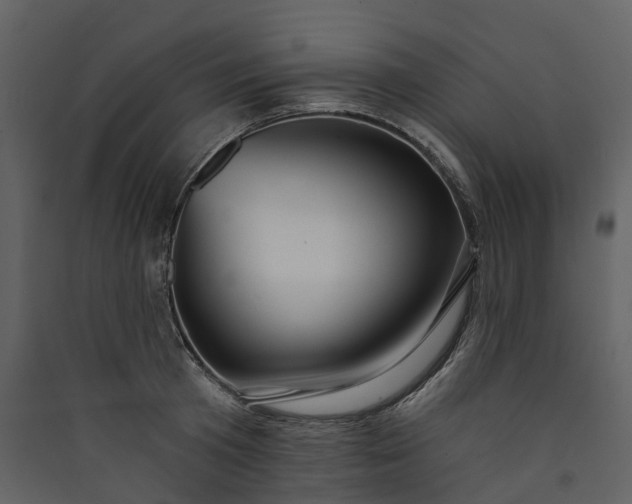 X0000089940801200707131452