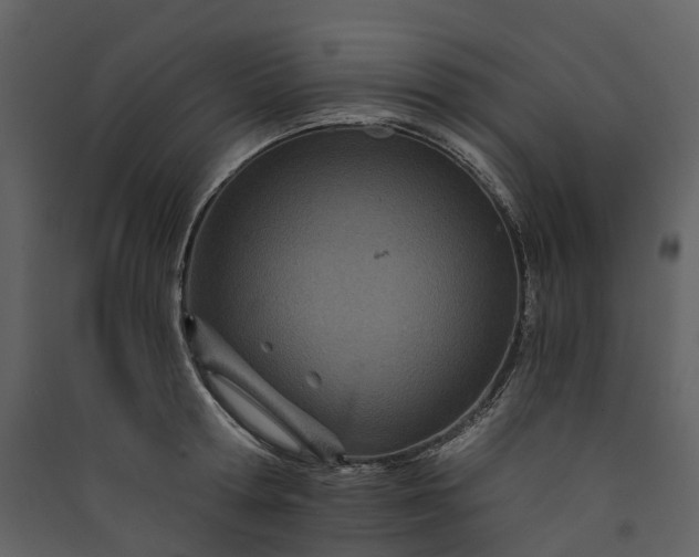 X0000089940802200707131452