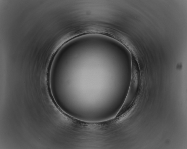 X0000089940803200707131452