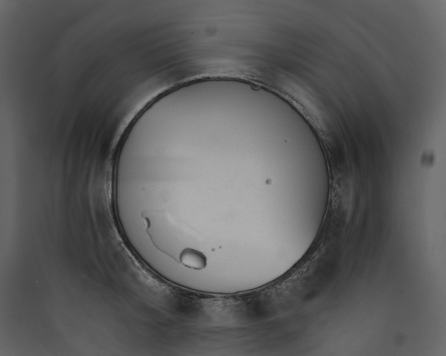 X0000089940804200707131452