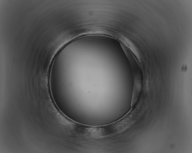 X0000089940805200707131452