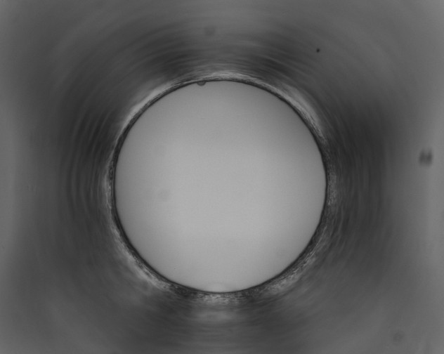 X0000089940806200707131452